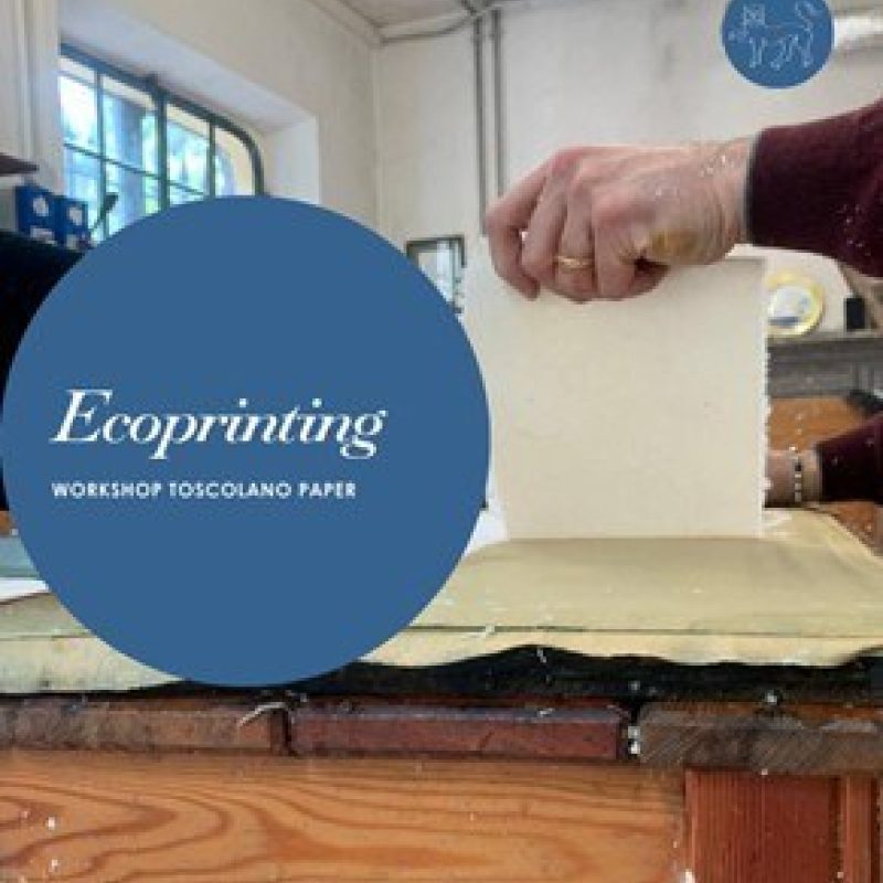 ECOPRINTING