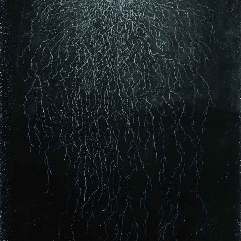 Ipernatura3